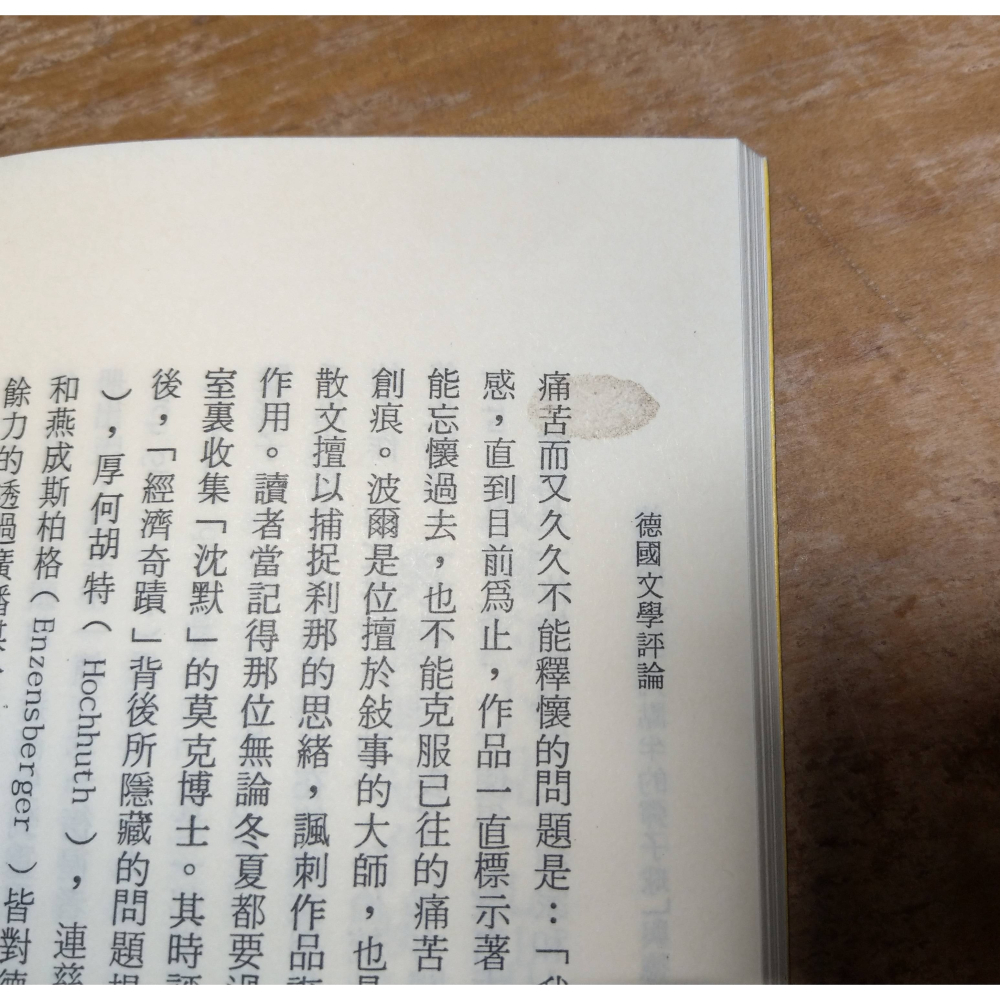 德國文學評論：上冊+下冊 2書合售│賴麗琇│臺灣商務│台灣商務、人人文庫、德國文學評論上下、上、下、上下、二手書│老書-細節圖7