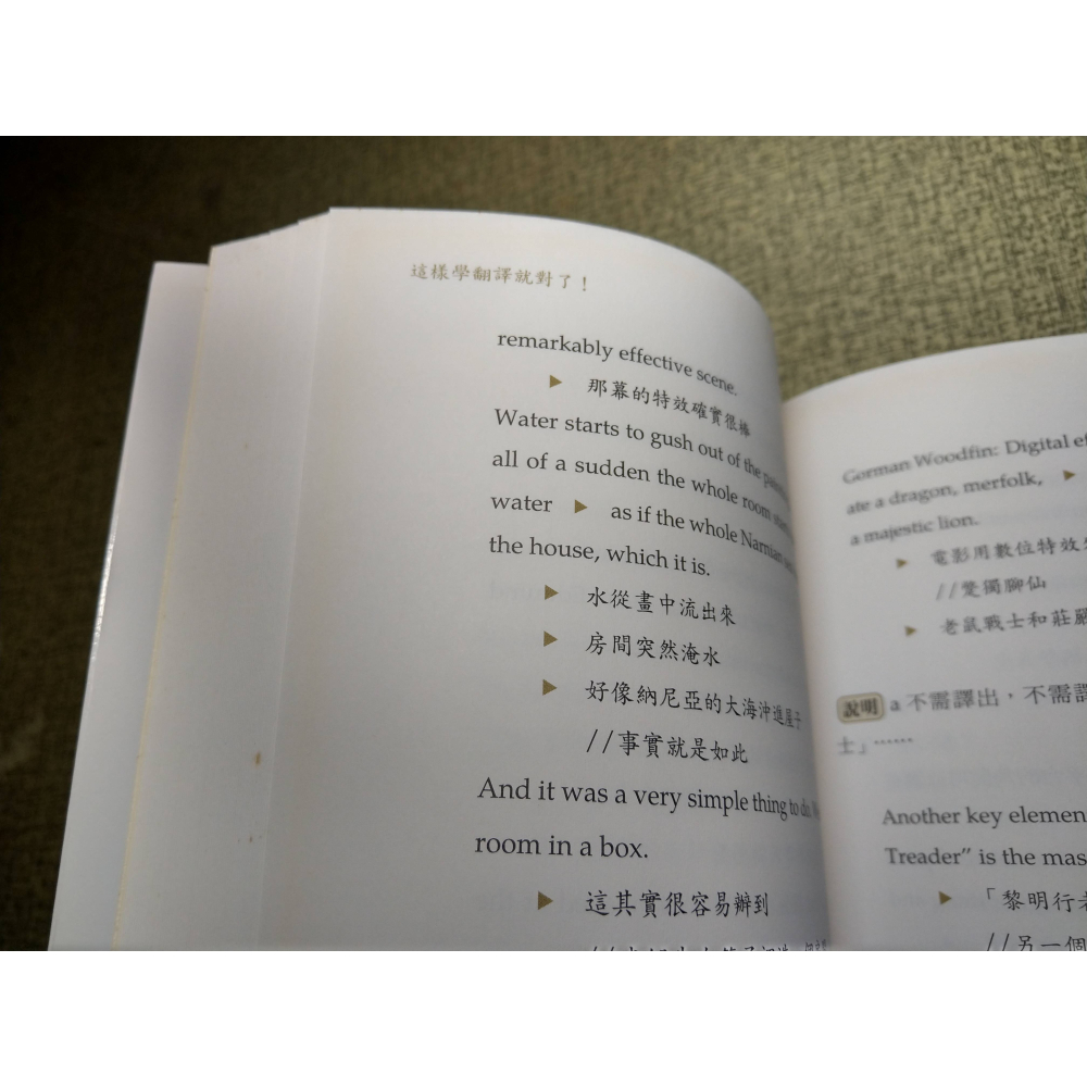 這樣學翻譯就對了：口譯、筆譯、影視翻譯 實用祕笈(泛黃、書斑)│許惠珺│道聲│翻譯、書、二手書│七成新-細節圖6