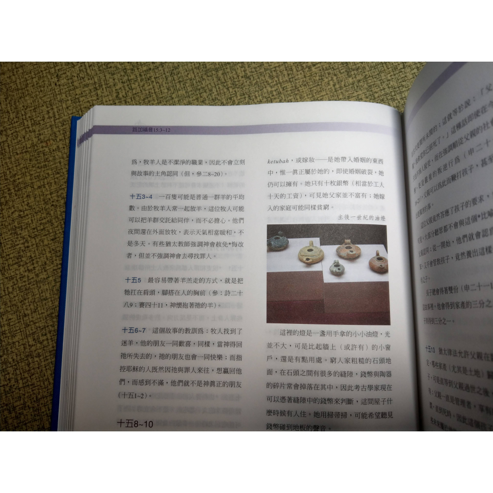 新約聖經背景註釋(無書衣)│季納、劉良淑│校園│IVP、新約 聖經 背景註釋、聖經背景註釋、書、二手書│七成新-細節圖7