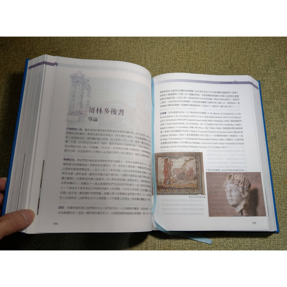 新約聖經背景註釋(無書衣)│季納、劉良淑│校園│IVP、新約 聖經 背景註釋、聖經背景註釋、書、二手書│七成新-細節圖8