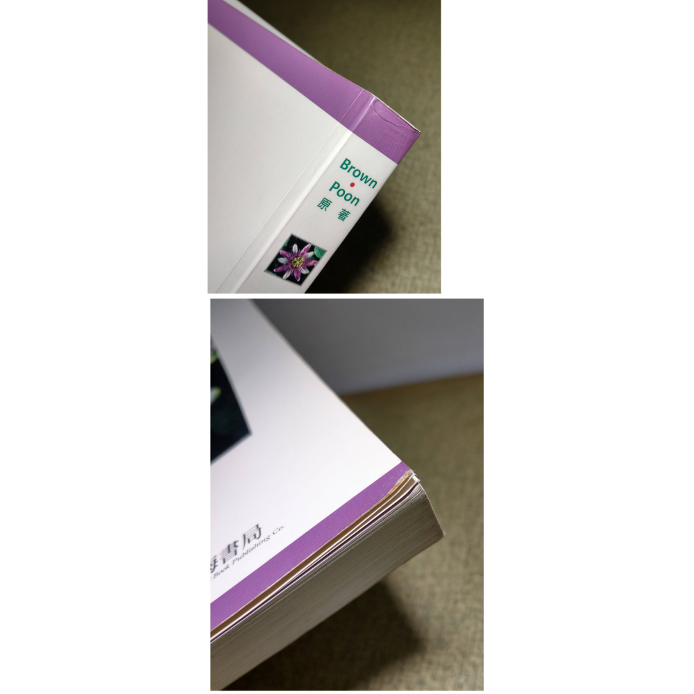 有機化學 精簡版：第三版│William Brown、Poon、李冠漢│滄海│有機化學精簡版、3、3e、二手書│七成新-細節圖4