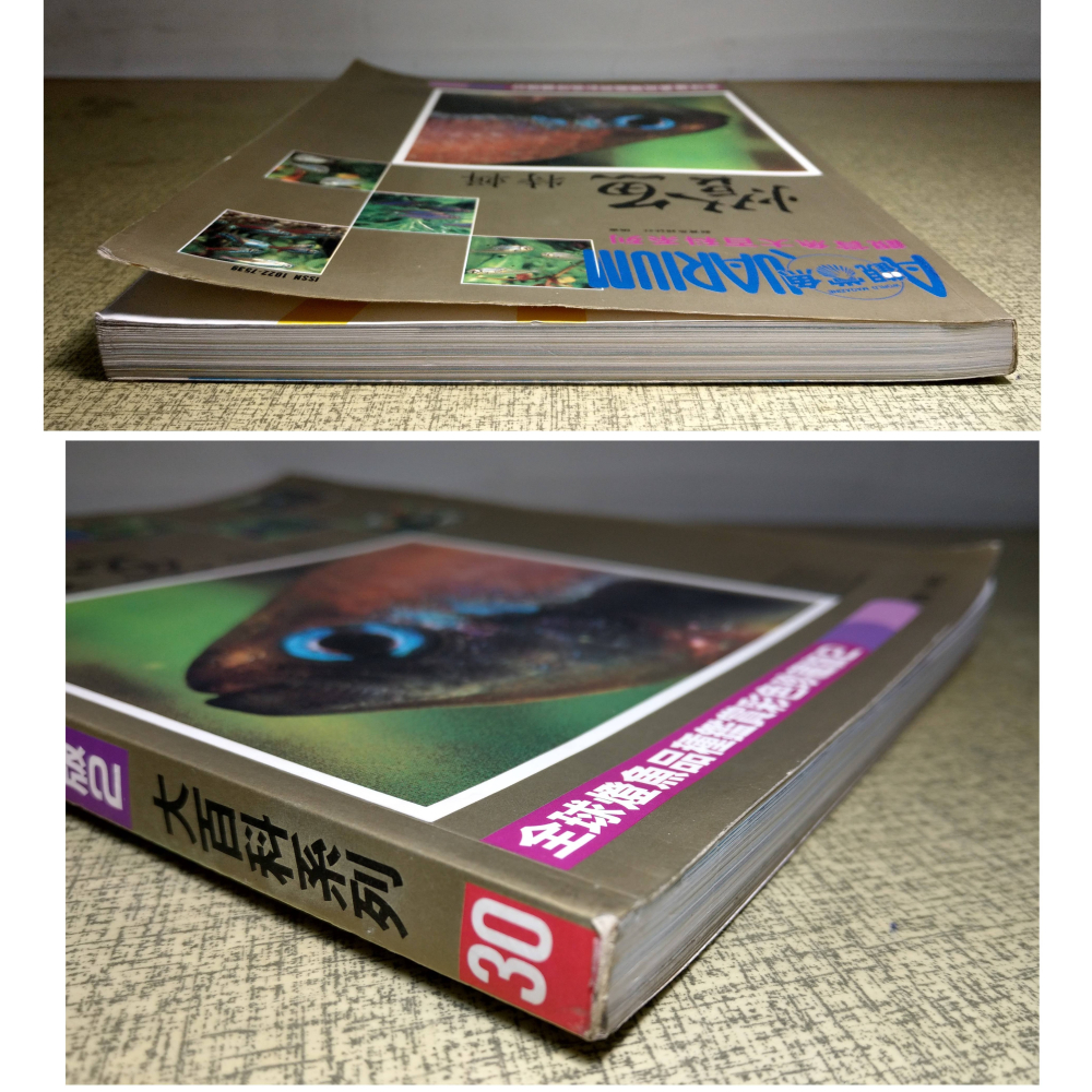 燈魚特輯(水痕)│AQUARIUM 觀賞魚大百科系列：全球燈魚品種鑑賞彩色珍藏版2│燈魚 特輯、書、二手書、雜誌│老書-細節圖2