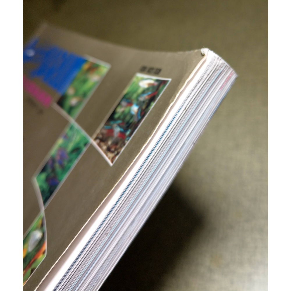 燈魚特輯(水痕)│AQUARIUM 觀賞魚大百科系列：全球燈魚品種鑑賞彩色珍藏版2│燈魚 特輯、書、二手書、雜誌│老書-細節圖4