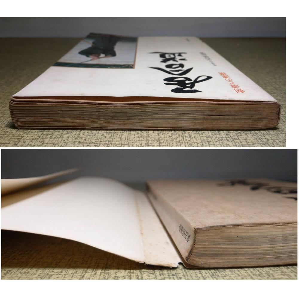 (日文書)居合道：劍道との連携(多泛黃斑)│居合道八段：中村泰三郎│成美堂│居合道 : 剣道との連携、書、二手書│老書-細節圖2