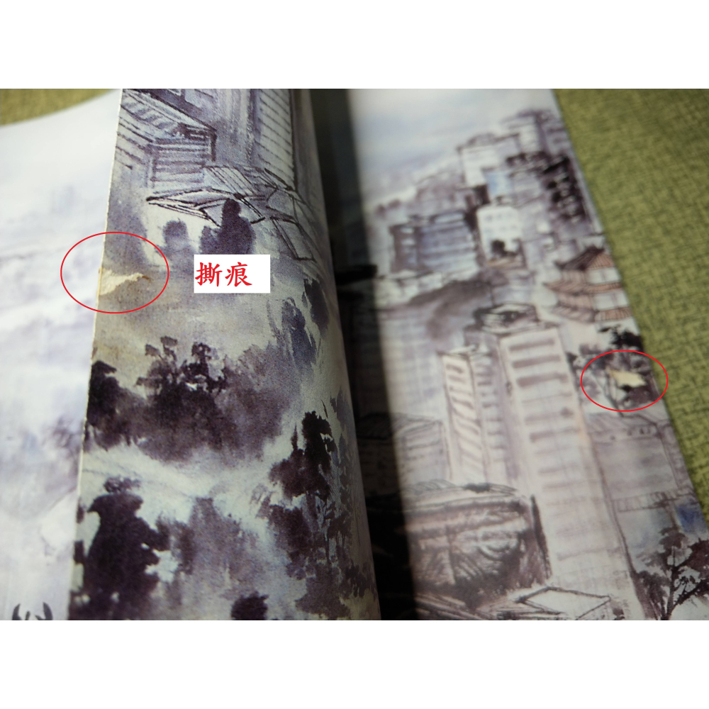 (民國94年 初版)愛河行旅│高雄市立美術館│市長序：高雄市長 謝長廷│高雄、高雄市、愛河、書、二手書│七成新-細節圖9