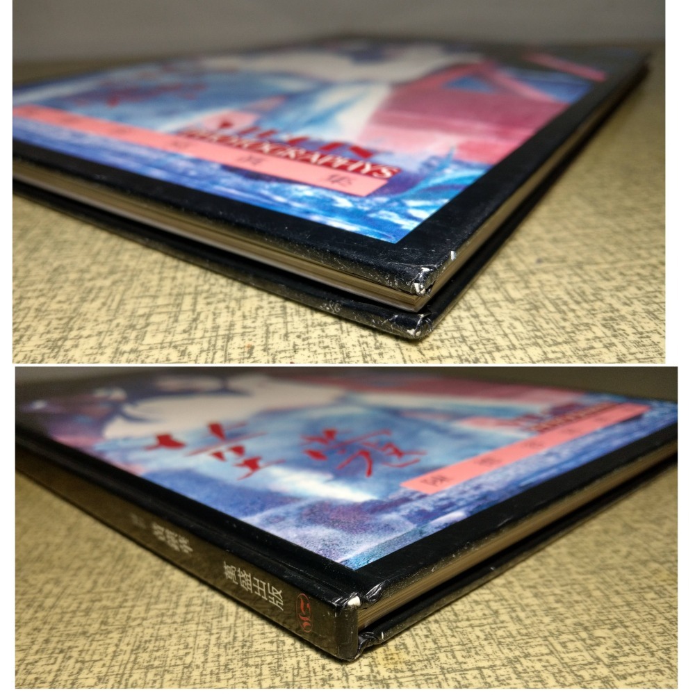 荳蔻：陳德容寫真集(書皮磨損)│陳德容│萬盛│陳德容寫真、寫真、寫真集、寫真書、書、二手書│七成新-細節圖4