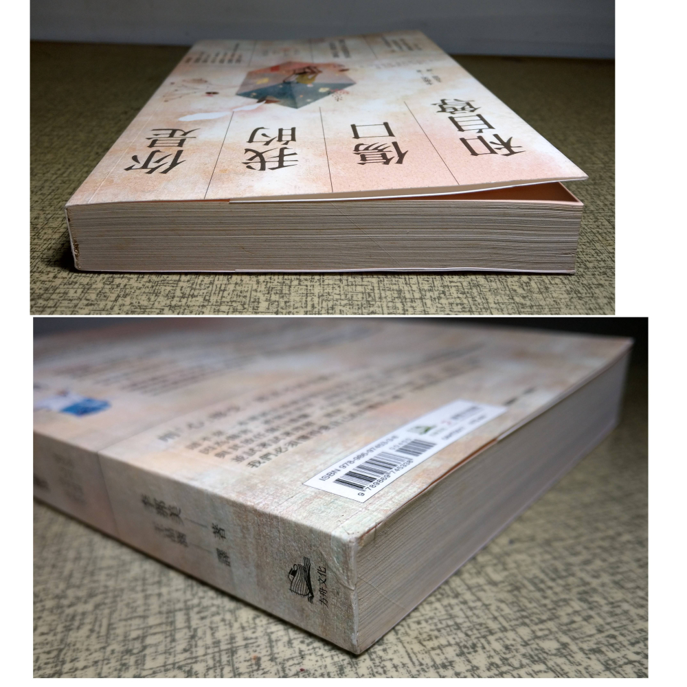 你是我的傷口和自尊(泛黃、多書斑)│李那美│方舟│書、二手書│六成新-細節圖2