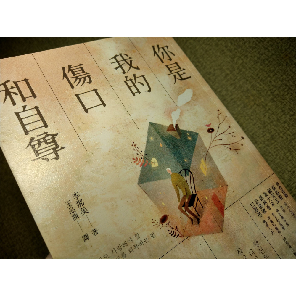 你是我的傷口和自尊(泛黃、多書斑)│李那美│方舟│書、二手書│六成新-細節圖3