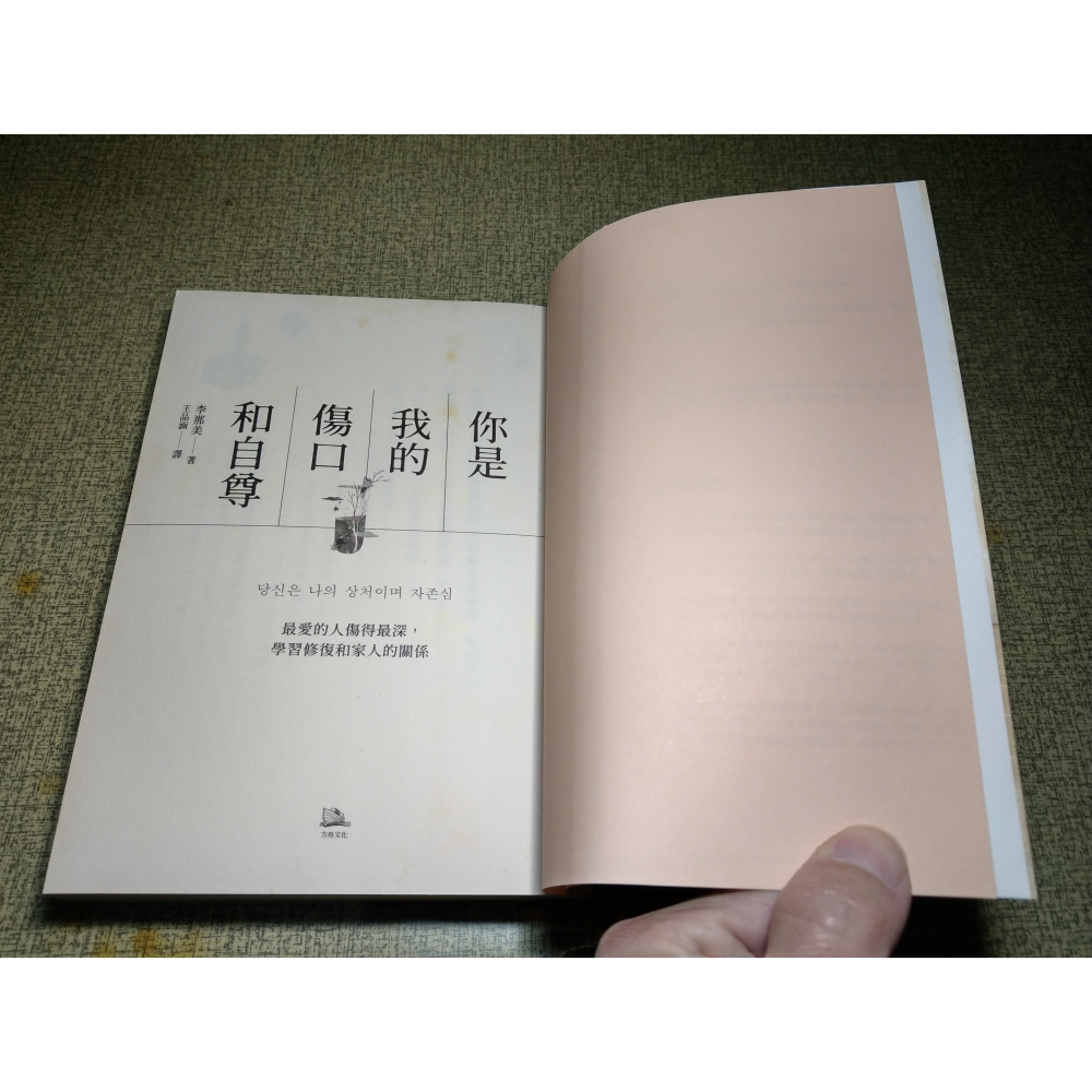 你是我的傷口和自尊(泛黃、多書斑)│李那美│方舟│書、二手書│六成新-細節圖5