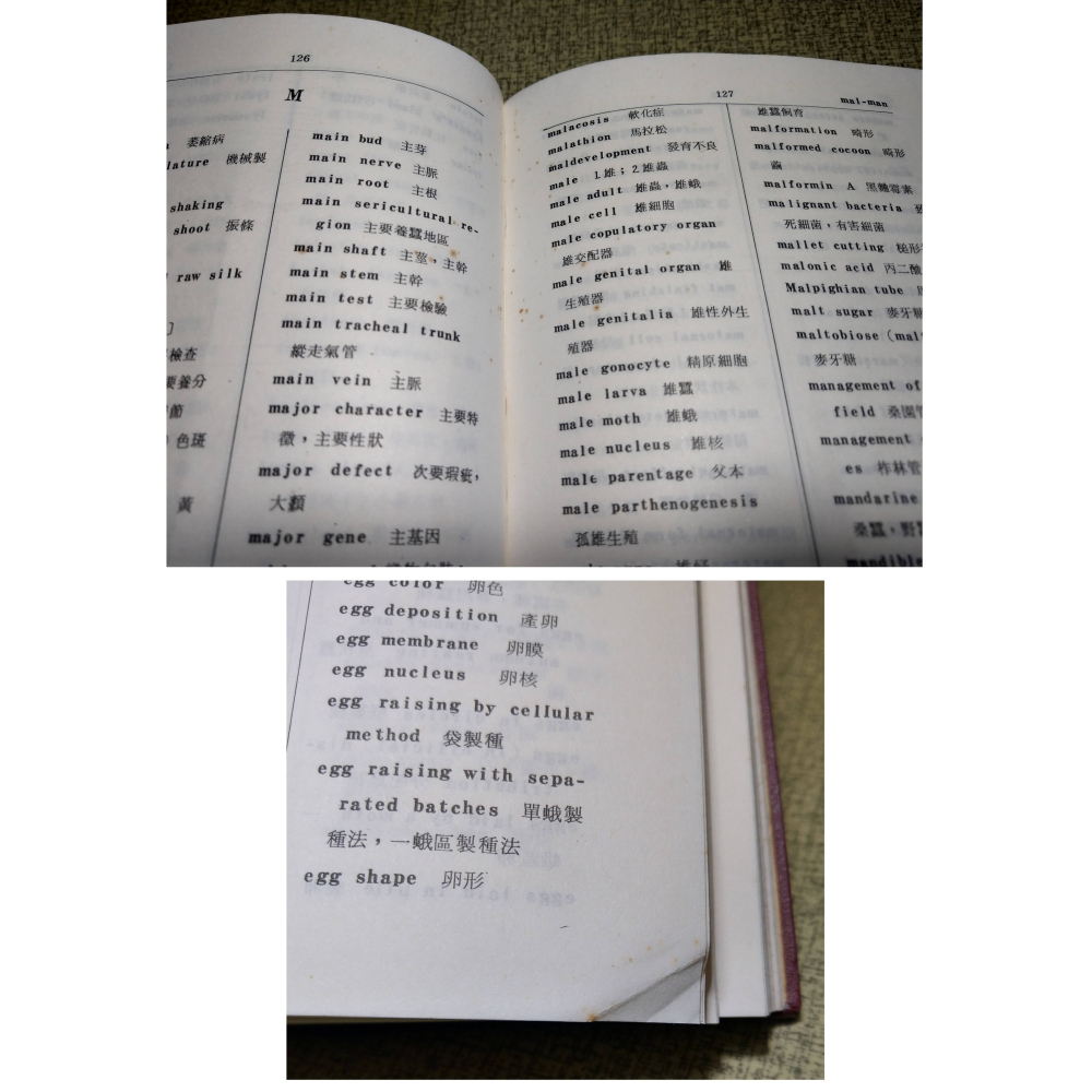 蠶業名詞辭典(已泛黃、多書斑)│傅宏業│名山│蠶、蠶業 名詞辭典、書、二手書│老書-細節圖7