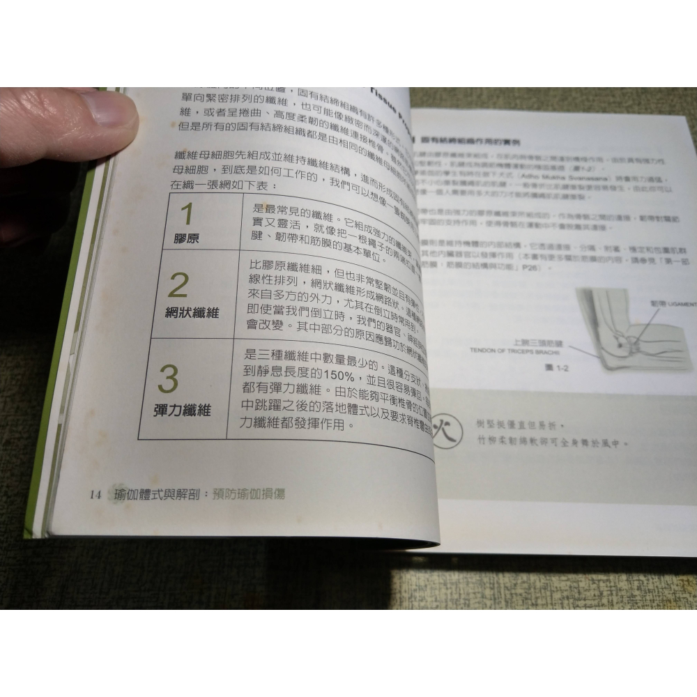 瑜伽體式與解剖(已明顯泛黃、許多書斑)│馬海燕│晨星│瑜伽體式 與 解剖、瑜珈體式與解剖、書、二手書│六成新-細節圖6