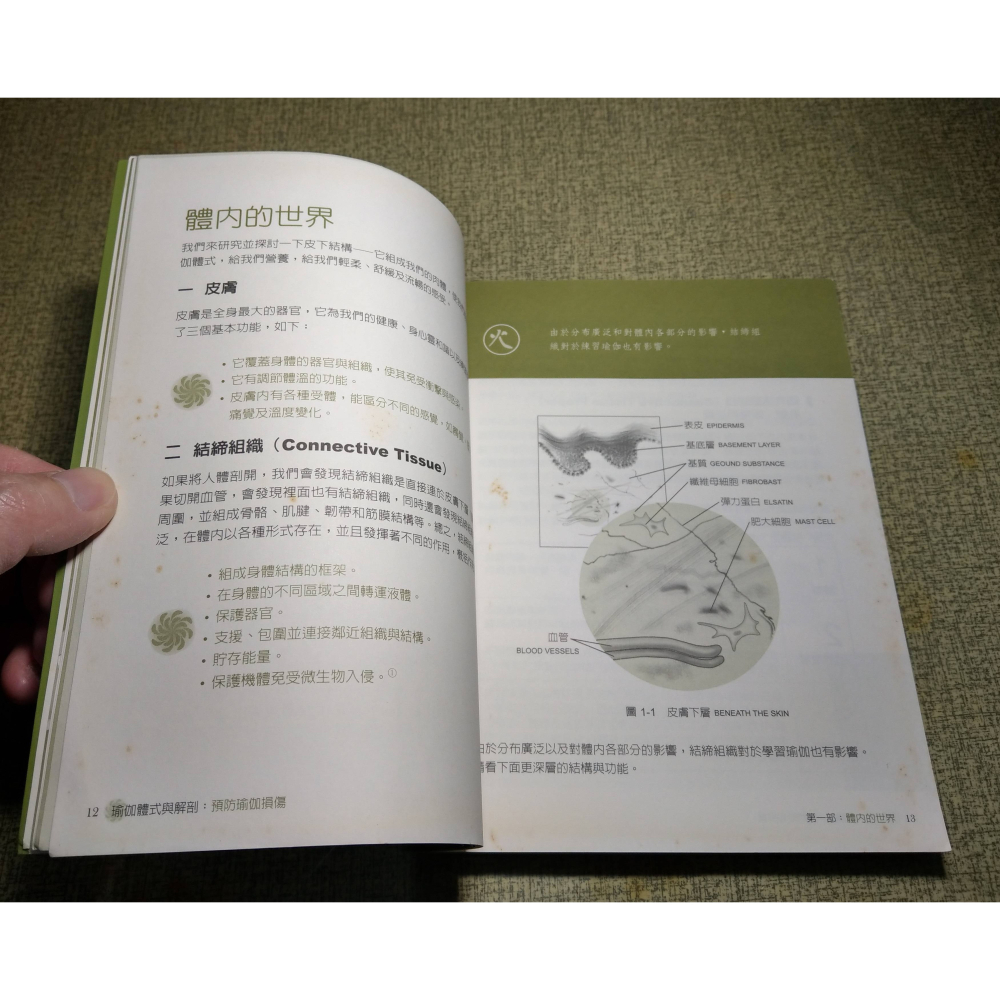 瑜伽體式與解剖(已明顯泛黃、許多書斑)│馬海燕│晨星│瑜伽體式 與 解剖、瑜珈體式與解剖、書、二手書│六成新-細節圖7