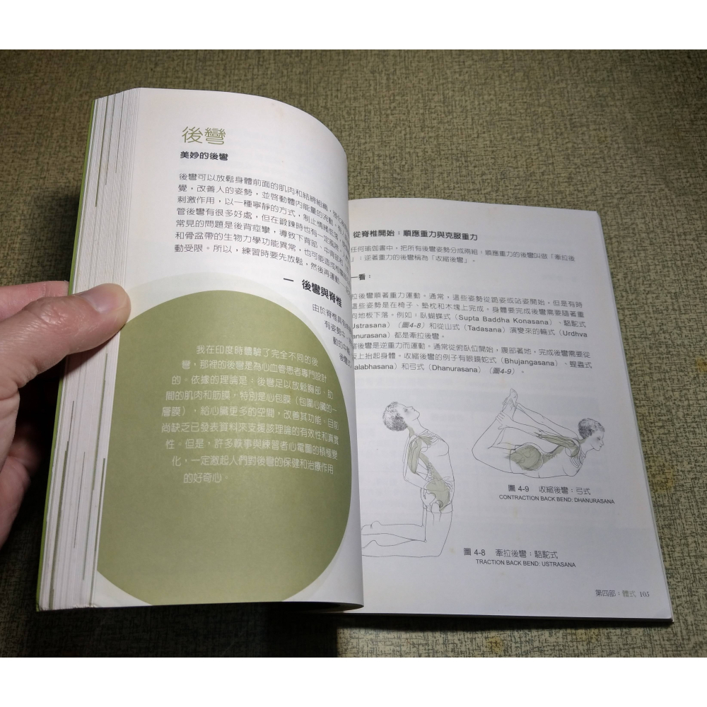 瑜伽體式與解剖(已明顯泛黃、許多書斑)│馬海燕│晨星│瑜伽體式 與 解剖、瑜珈體式與解剖、書、二手書│六成新-細節圖8