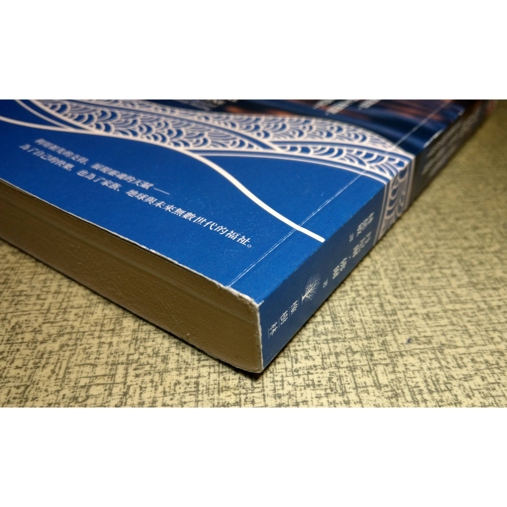 祖先療癒：連結先人的愛與智慧(已泛黃)│丹尼爾 佛爾│橡樹林│書、二手書│六成新-細節圖3