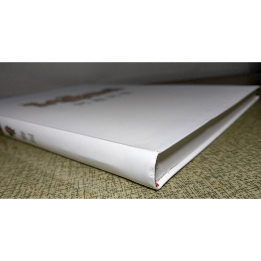 阿雄的偶│林文雄│書、二手書│七成新-細節圖4