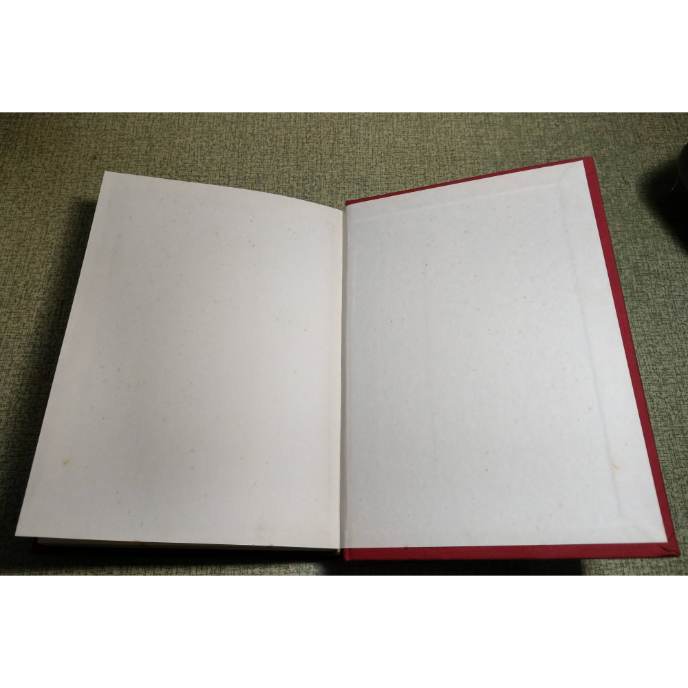 辨證奇聞 對症下藥(封面、書頁底污漬)│一行禪院、龍壽佛堂│辨證奇聞對症下藥、書、二手書│老書-細節圖4