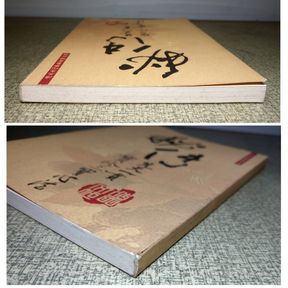 秘傳先天一貫：實修三寶心法(已泛黃、多書斑)│浩天│秘傳先天一貫實修三寶心法、二手書、祕傳先天一貫實修三寶心法│六成新-細節圖2