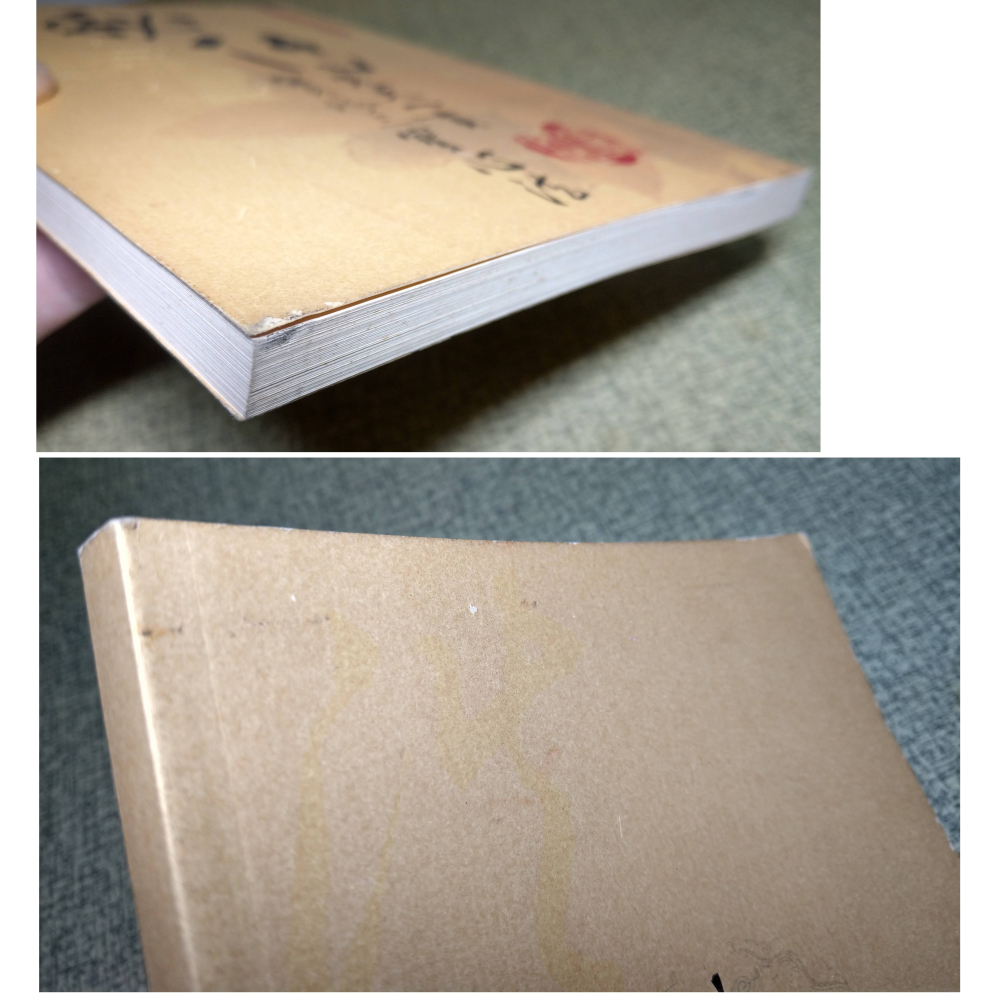 秘傳先天一貫：實修三寶心法(已泛黃、多書斑)│浩天│秘傳先天一貫實修三寶心法、二手書、祕傳先天一貫實修三寶心法│六成新-細節圖3