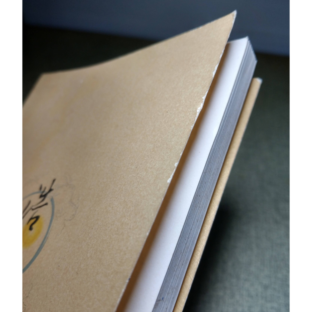 秘傳先天一貫：實修三寶心法(已泛黃、多書斑)│浩天│秘傳先天一貫實修三寶心法、二手書、祕傳先天一貫實修三寶心法│六成新-細節圖4