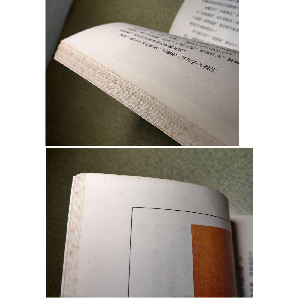 雕竹的藝術(泛黃、書斑)│那志良│中華兒童叢書│雕竹、書、二手書│老書-細節圖6