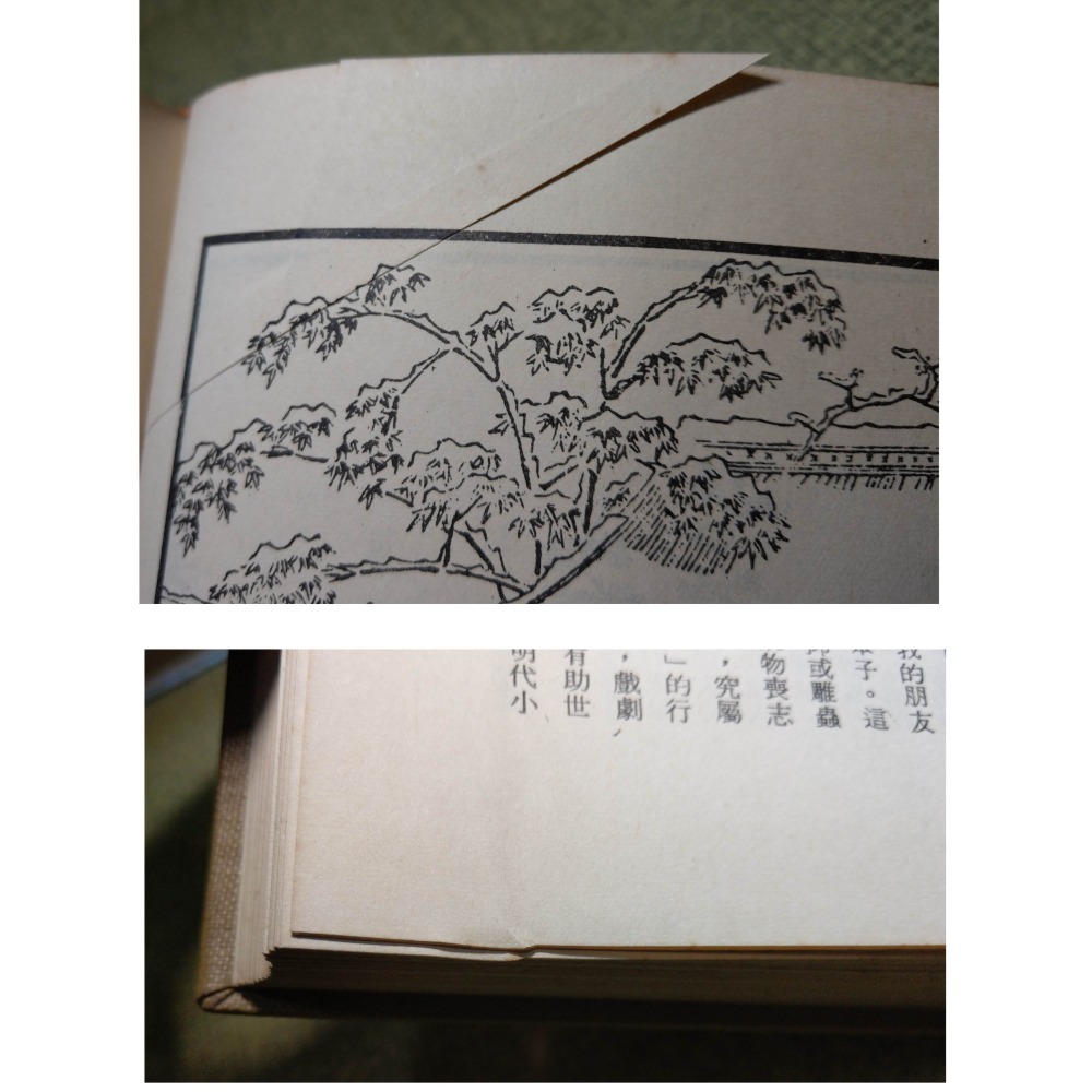 明萬歷原刻、清故宮珍藏：繡像金瓶梅詞話(上中下 三冊)│金瓶梅論 侯健│金瓶梅、繡像金瓶梅、金瓶梅書籍、書、二手書│老書-細節圖6