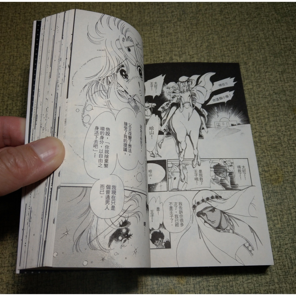 (2009年初版一刷、首刷、無釘無章)齊藤千穗最愛精選│日本小學館、長鴻│齊藤千穗 最愛精選、書、漫畫│七成新-細節圖9