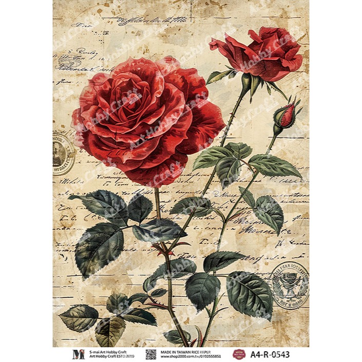 S-mai Art專用紙D-0541︱台灣現貨 專用紙 棉紙 拼貼紙 藝術紙 蝶古巴特 Decoupage︱小麥手作舖-規格圖5