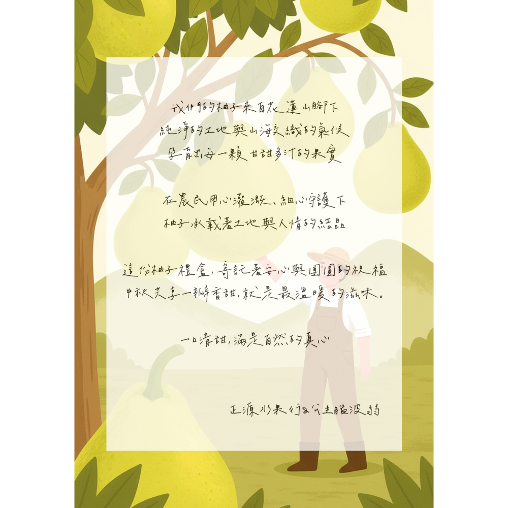 現貨 文旦禮盒（11粒）送針織袋-細節圖2