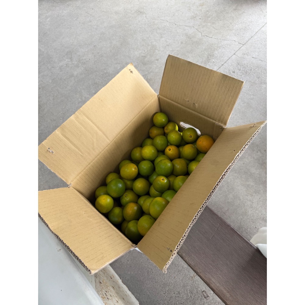 特選丁 20斤柳丁-細節圖2