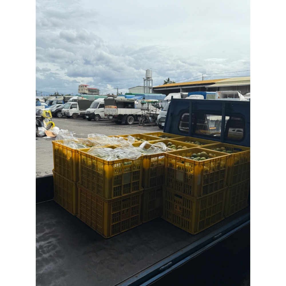 雞蛋丁 20斤-細節圖6