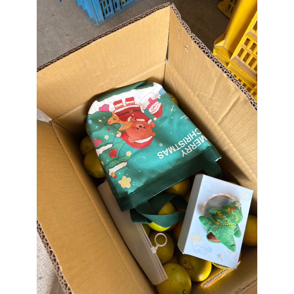 特選丁15斤-細節圖2