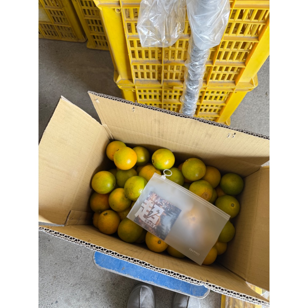 特選丁15斤-細節圖3