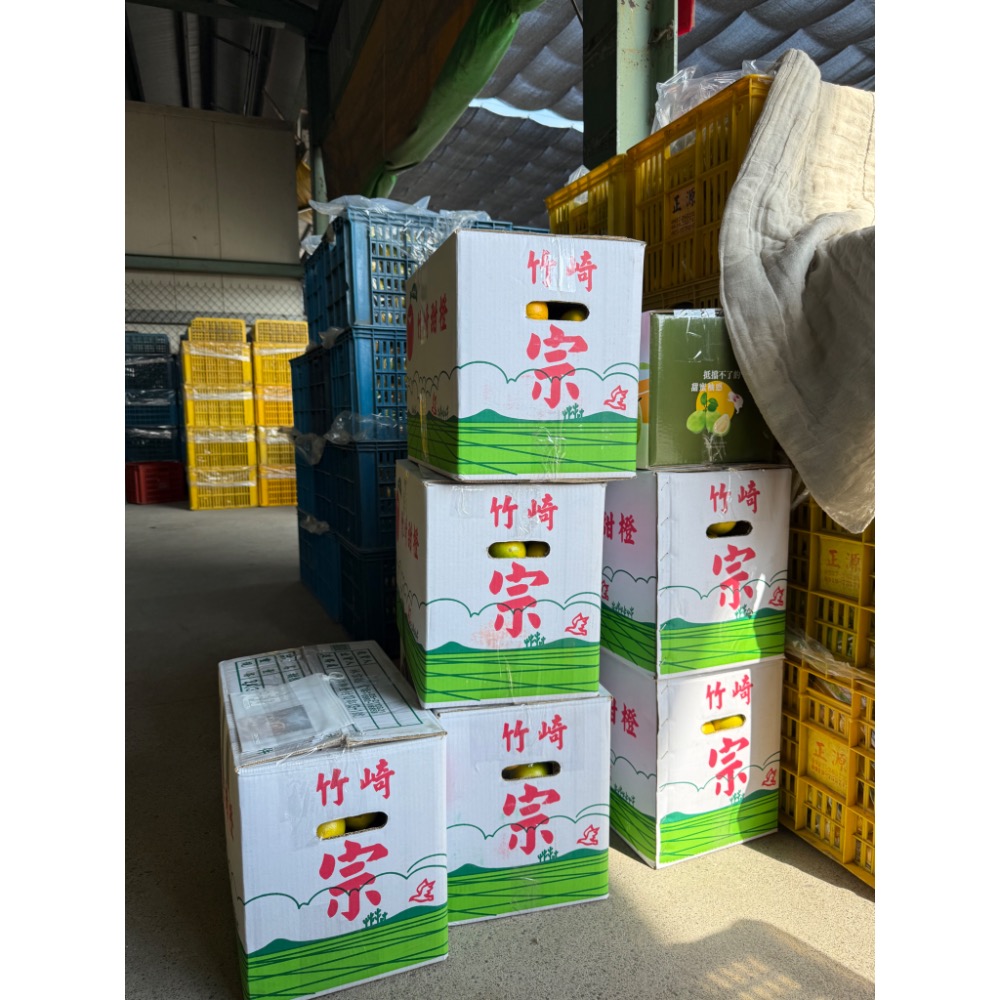 特選丁15斤-細節圖4