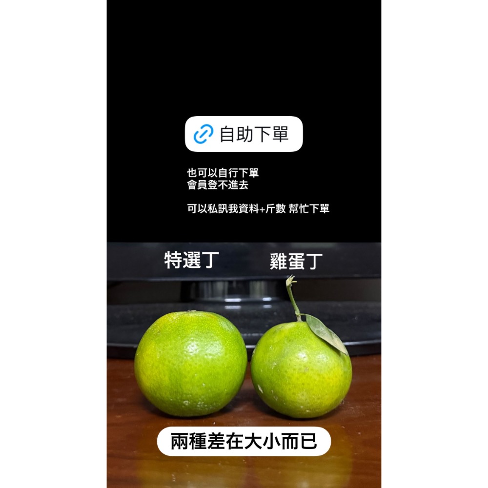 特選丁15斤-細節圖5