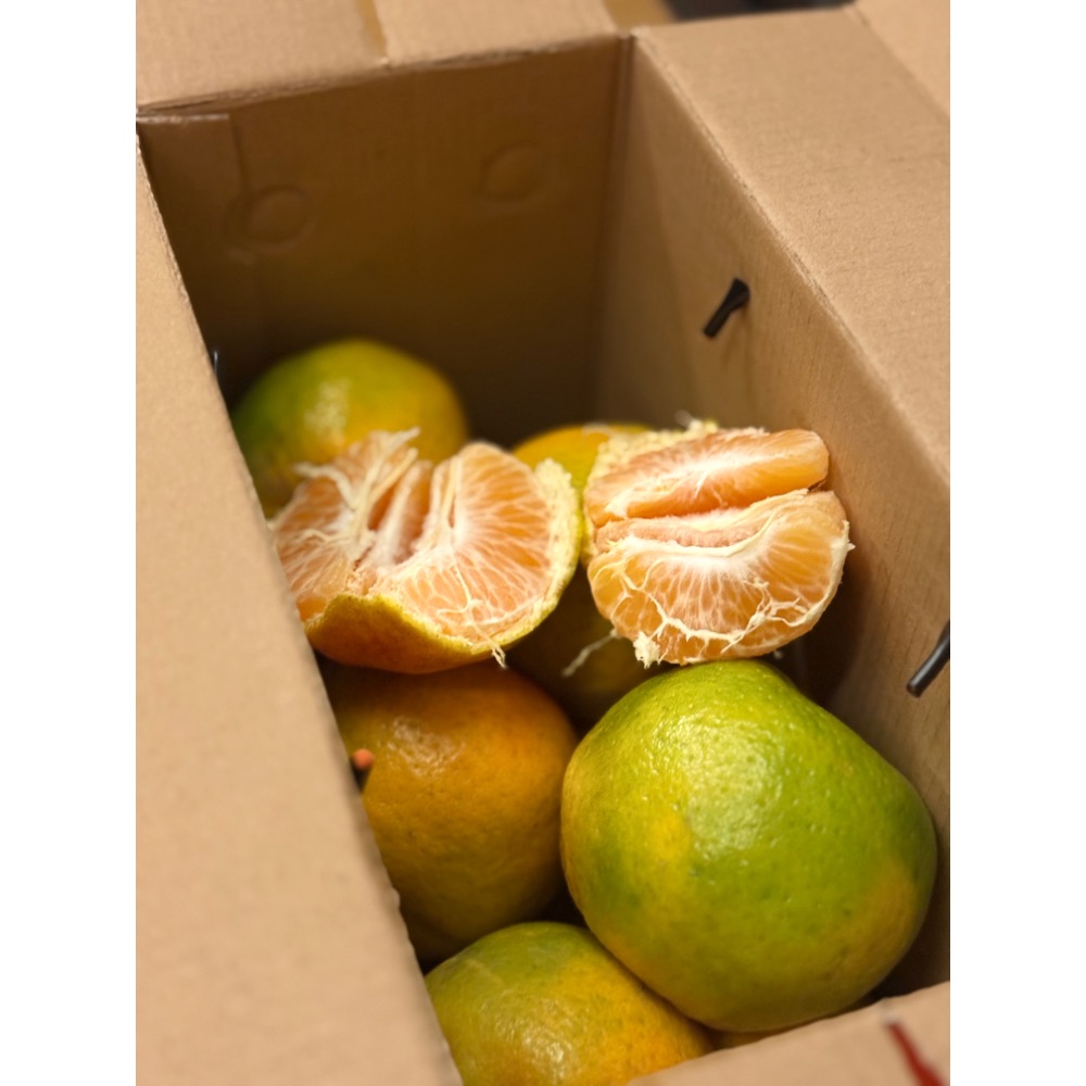 25A  椪柑 產地直送🍊-細節圖2