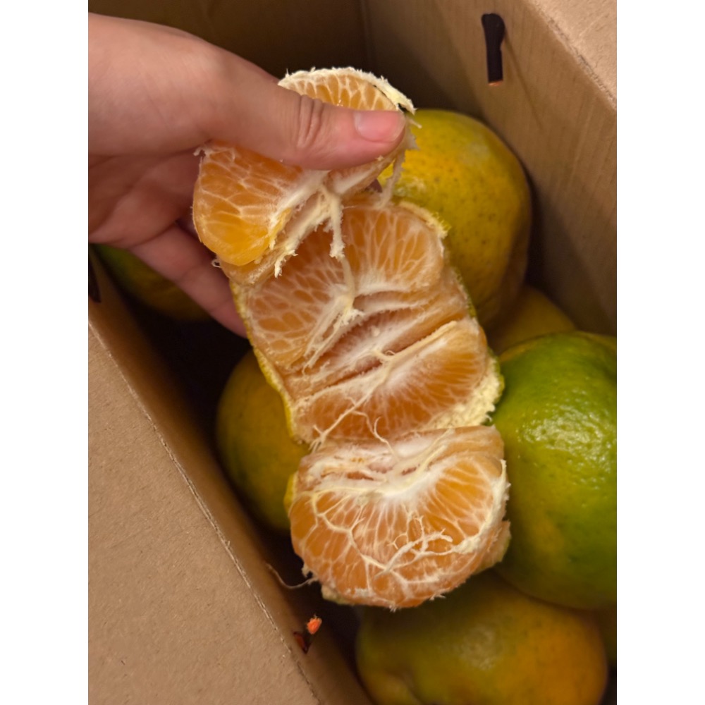 25A  椪柑 產地直送🍊-細節圖4
