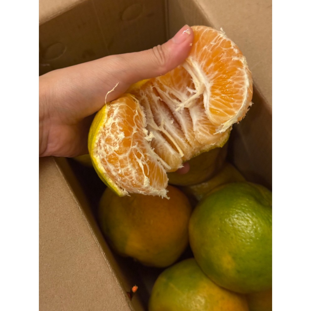 25A  椪柑 產地直送🍊-細節圖5