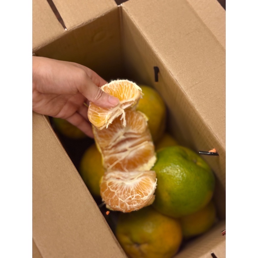 25A  椪柑 產地直送🍊-細節圖3