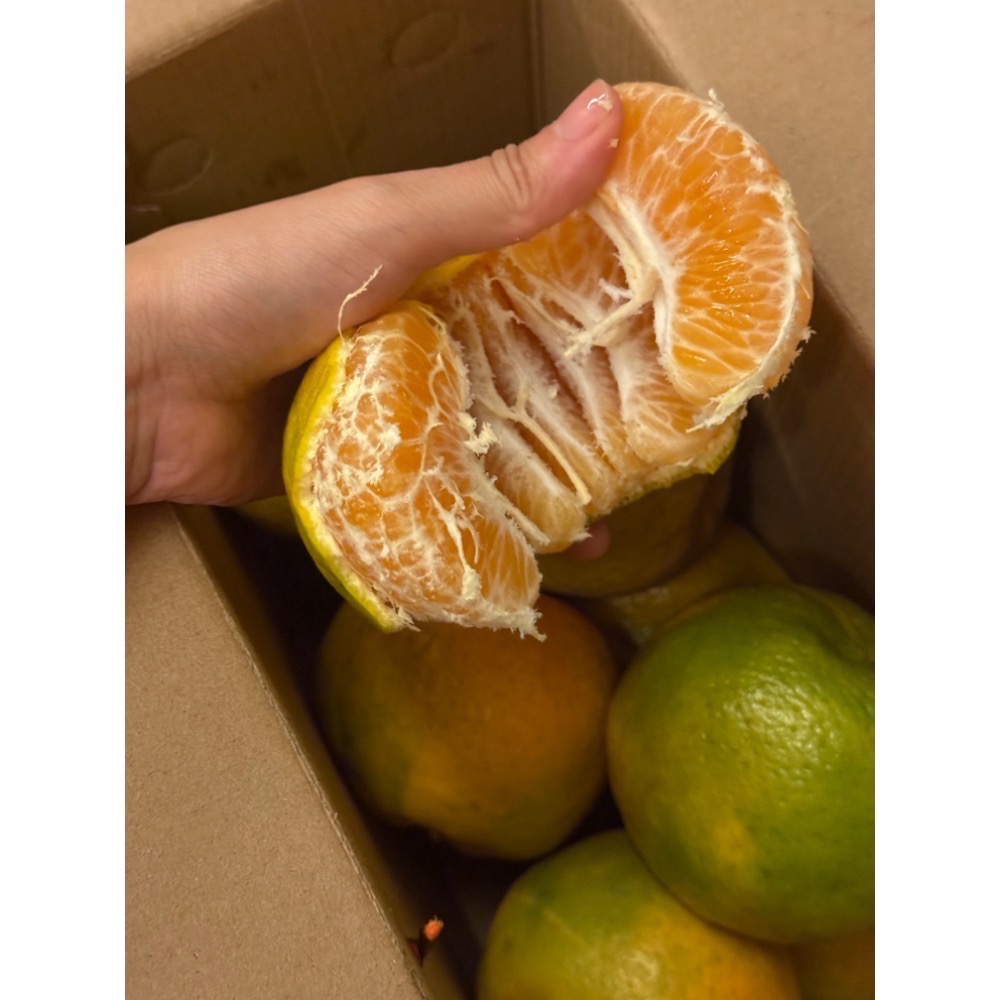 25A  椪柑 產地直送🍊-細節圖5