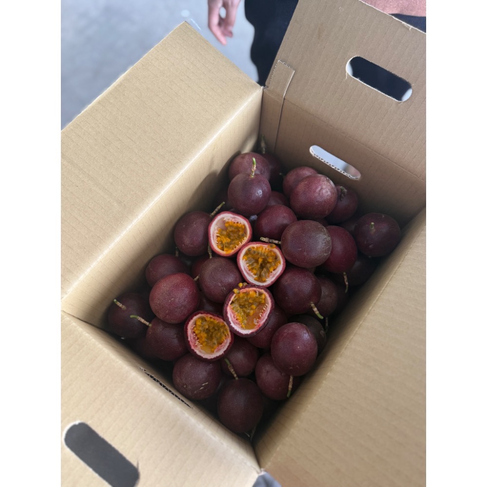 傳統百香果（吊網式、偏酸）-細節圖2