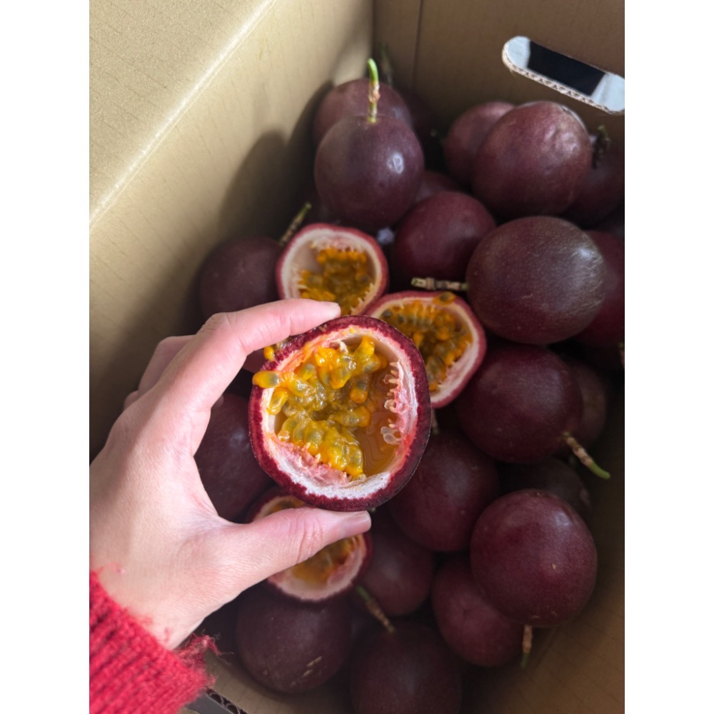 傳統百香果（吊網式、偏酸）-細節圖3