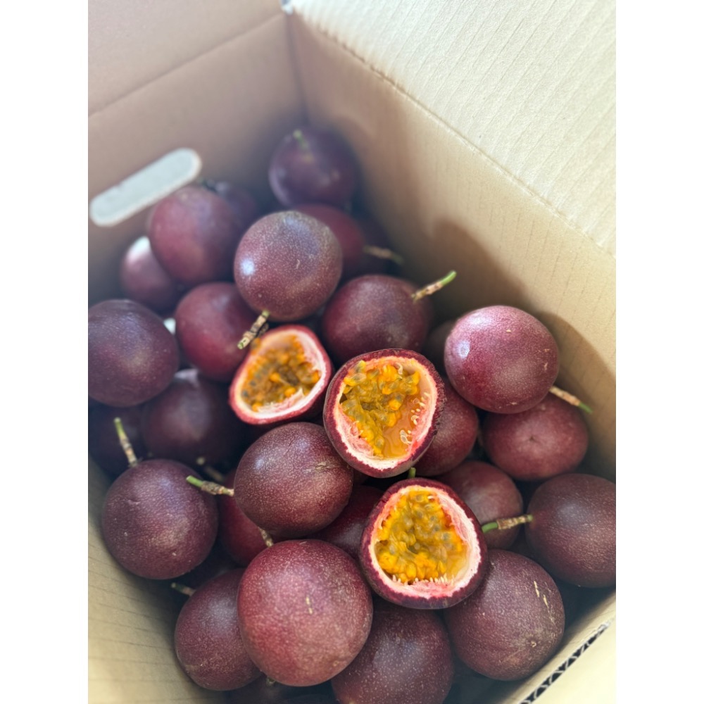 傳統百香果（吊網式、偏酸）-細節圖4