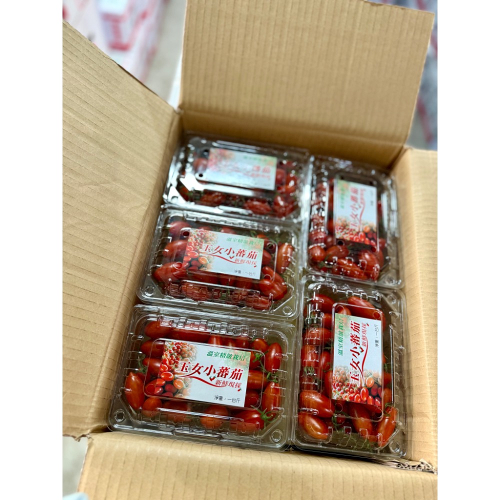 玉女小蕃茄-細節圖3