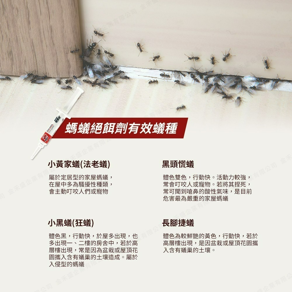 買就送餌劑盒【輕鬆點螞蟻絕】螞蟻藥/除蟻/滅蟻/螞蟻絕5g(凝膠餌劑)-細節圖3
