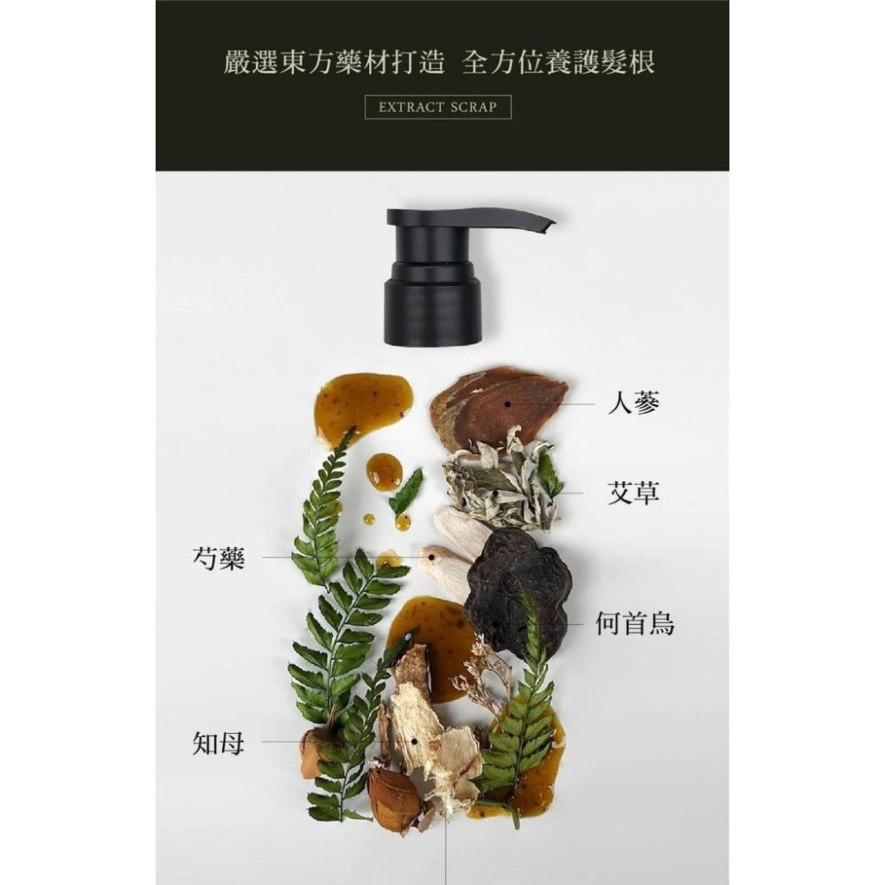 現貨寄出卡氛 療癒系 草本洗髮精 300ml 細軟髮洗髮適用 艾草/龍膽草/芍藥 草本洗髮精 卡氛 KAFEN  洗髮精-細節圖5