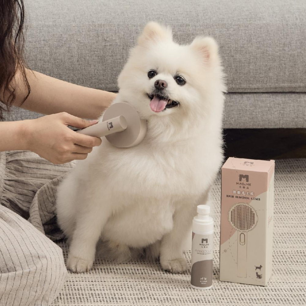 現貨寄出 推推毛毛梳 寵物梳毛 貓咪梳毛 狗狗梳毛 寵物梳 梳毛刷 貓咪梳毛 梳毛器 寵物針梳-細節圖6
