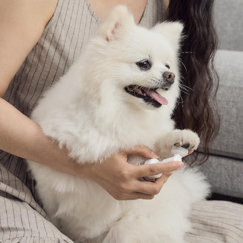 現貨寄出 毛腳腳潔淨抗菌幕斯 肉球清潔 寵物洗腳神器 寵物洗腳 寵物洗腳慕斯 狗狗洗腳 狗洗腳-細節圖4