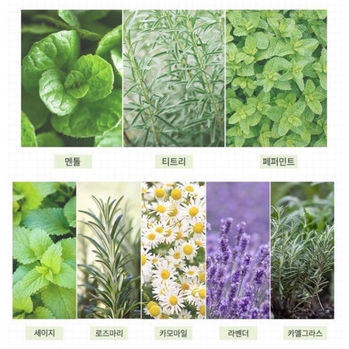 預購7月底到貨 韓國🇰🇷Prreti 頭皮呼吸植萃噴霧 80ml 頭皮精華 頭皮噴霧-細節圖3