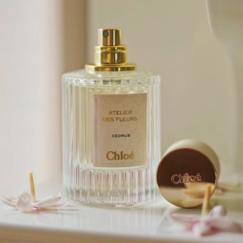 Chloe 仙境花園系列香氛 北國雪松淡香精 50ml 香水 香精 香氛