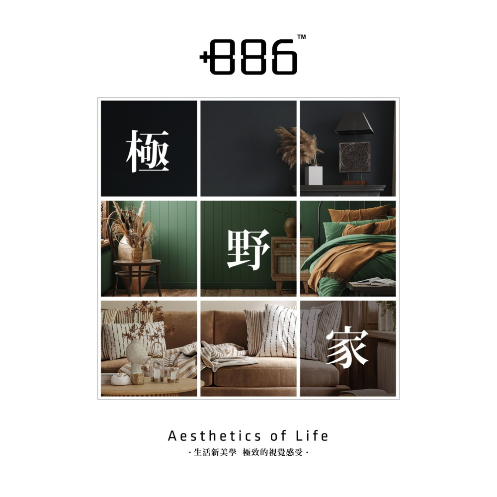 +886 [極野家] 三合一可摺疊Type-C充電捕蚊拍-細節圖5